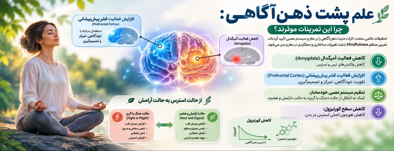 علم پشت ذهن‌آگاهی: چرا این تمرینات مؤثرند؟